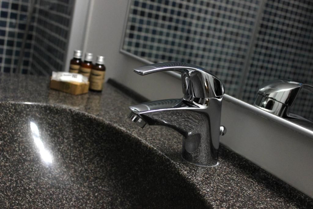 Отель Kosher Hotel Lev Or Бухарест-43