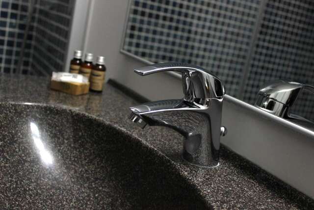 Отель Kosher Hotel Lev Or Бухарест-22