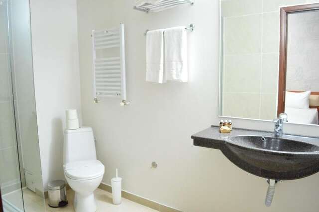 Отель Kosher Hotel Lev Or Бухарест-40