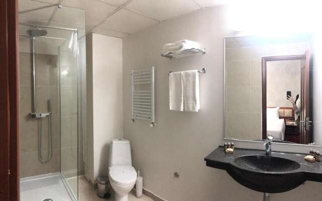 Отель Kosher Hotel Lev Or Бухарест-6